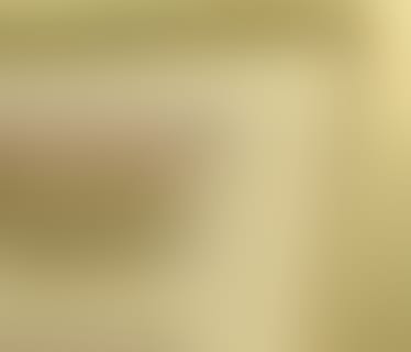 Header sino