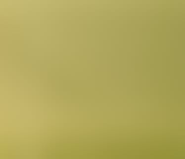 Header Gartenbau-Versicherung VVaG