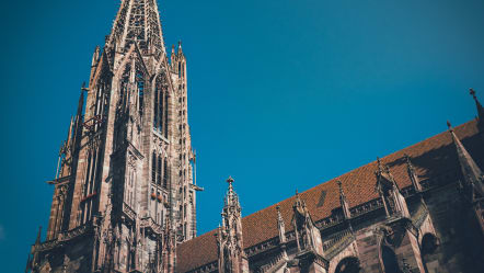 Relocation nach Münster für Softwareentwickler