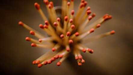 Entfalte dein Potenzial: Karrierepfade für Frontend Developer