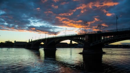 Relocation nach Mainz für Software Entwickler