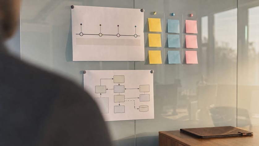 IT‑Projektmanager – Was kommt danach?