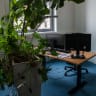 Team insight Arbeitsplatz