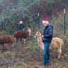 Team insight Kollegen