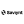 Logo Technology Saviynt