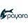 Logo Technology Payara Server