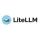 Logo Technology LiteLLM