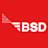 Logo B.S.D GmbH