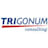 Trigonum Gmbh