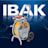 Logo IBAK Helmut Hunger GmbH & Co. KG