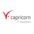 Logo Capricorn Consulting GmbH