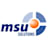 Logo msu solutions GmbH