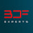 Logo BDF EXPERTS