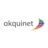 Logo AKQUINET