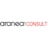 araneaCONSULT GmbH
