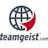 Logo Teamgeist GmbH