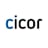 Cicor Group