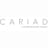Logo CARIAD SE