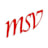 msv Systemhaus Martin Schlaak GmbH