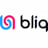 Logo Bliq