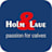 Logo Holm & Laue GmbH & Co. KG