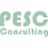Logo Pesc Consulting