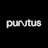 Logo puntus GmbH