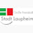 Logo Stadtverwaltung Laupheim