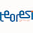 Teoresi Group