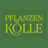 Pflanzen-Kölle Gartencenter GmbH & Co. KG