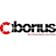 Logo Ciborius Security&service Solutions Berlin Gmbh