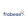 Logo frobese GmbH Informatikservices