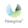 Logo Peregrine Technologies GmbH