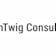Logo nTwig Consulting GmbH