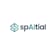 Logo SpAItial