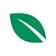 Logo Leaf Systems GmbH