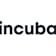 Logo incubado GmbH