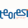 Logo Teoresi Group