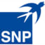 SNP Schneider-Neureither & Partner AG