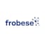 frobese GmbH Informatikservices