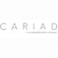 CARIAD SE