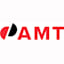 AMT Schmid GmbH & Co. KG