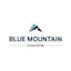 Blue Mountain Consulting GmbH