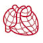 Nationale Herz-netz (nhn)