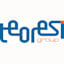 Teoresi Group