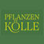 Pflanzen-Kölle Gartencenter GmbH & Co. KG