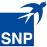Logo SNP Schneider-Neureither & Partner AG