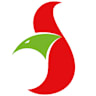 Logo Troiber Gmbh & Co. Kg