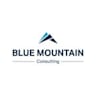 Logo Blue Mountain Consulting GmbH
